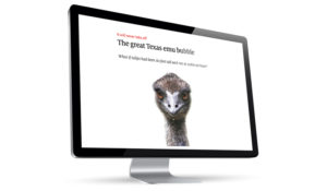 Emus & other ‘exotic’ investments